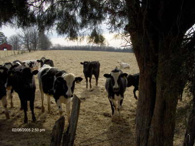 Who took my goggles?...I have a commerical to shoot