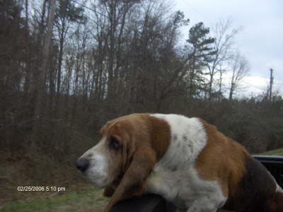 It's all about the ride